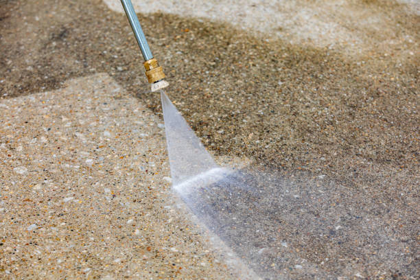 Best Patio and Deck Pressure Washing  in Pierz, MN